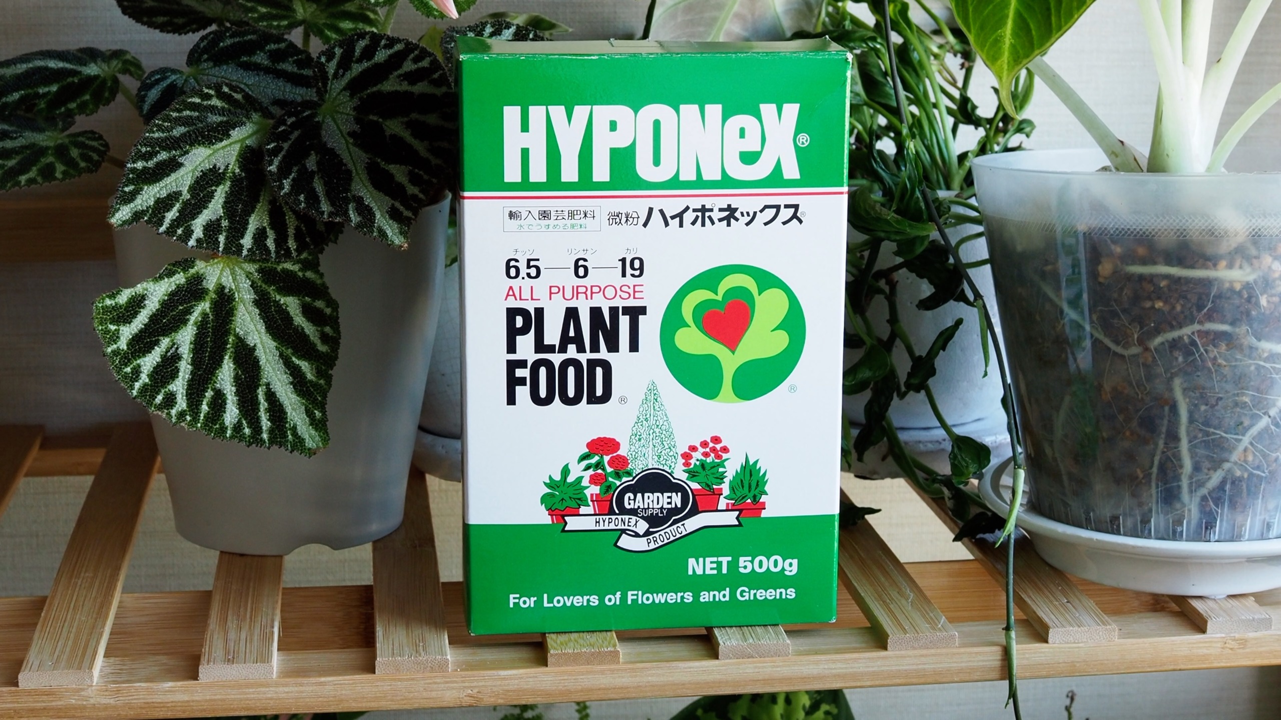 736円 最大80％オフ！ ハイポネックスジャパン 肥料 微粉ハイポネックス 500g